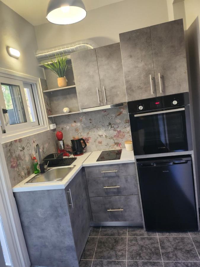 Small Luxury Apartment Anavyssos Bagian luar foto